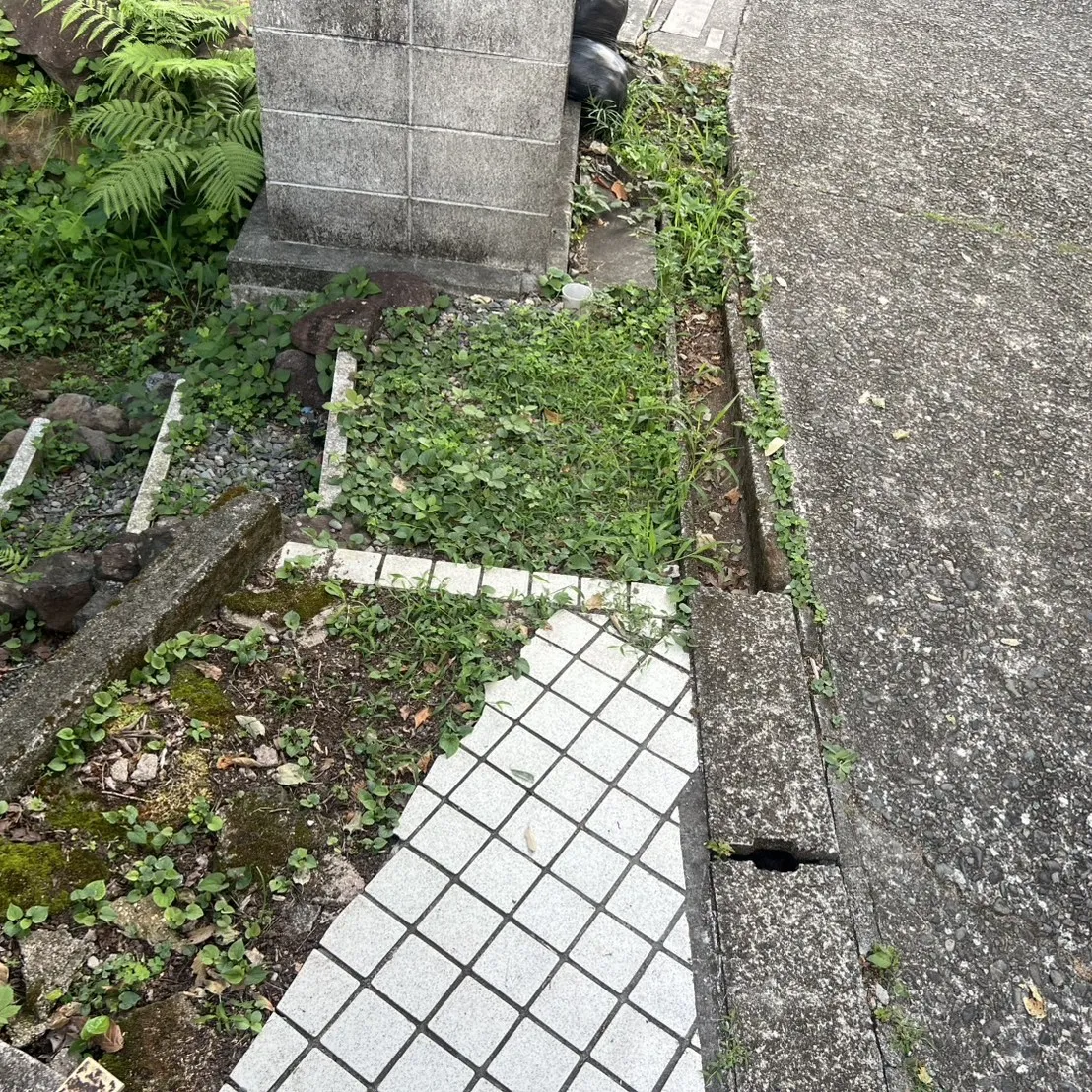 ビフォー2